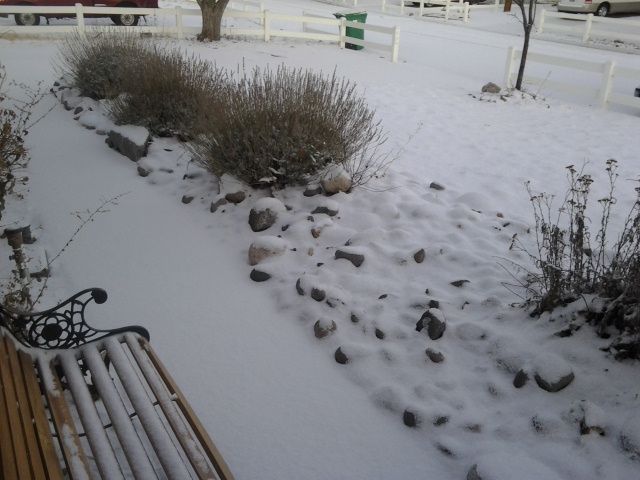 2012-01-16 07.25.19 About 2" of snow