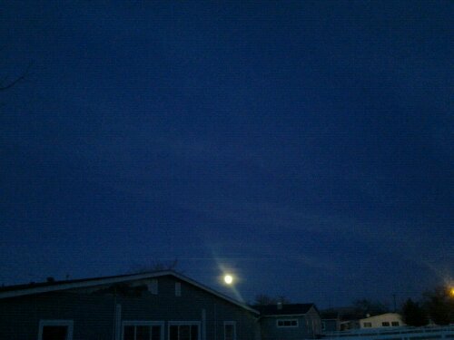New Moon Tahoe Reno image