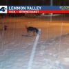 German Shepherd Loves Snow